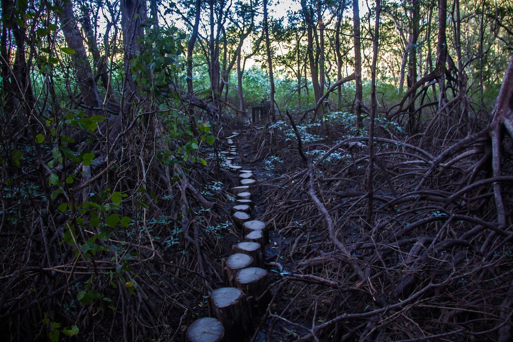 Hiking Reserva Lagarta Lodge - Nosara - Adventure tour in Nosara, Costa Rica